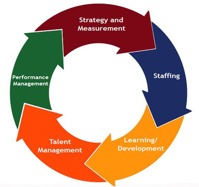 Organizational and Professional Development
