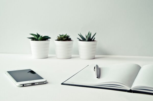 succulents and a notebook on a white desk